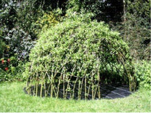 Load image into Gallery viewer, Willow Hut Kits - Free shipping