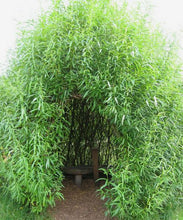 Load image into Gallery viewer, Willow Hut Kits - Free shipping