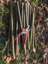 Load image into Gallery viewer, Willow Cuttings