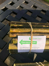 Load image into Gallery viewer, Willow Cuttings