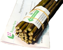 Load image into Gallery viewer, Willow Cuttings