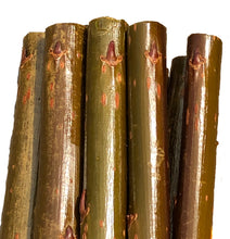 Load image into Gallery viewer, Willow Cuttings
