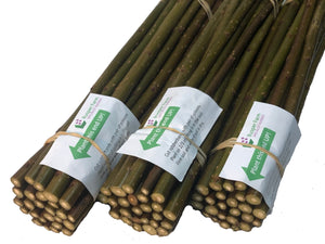 Willow Cuttings