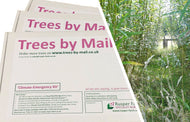 Trees By Mail